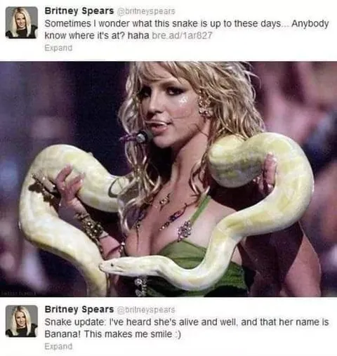 Britney’s Snake Update