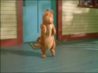 Кот танцует до утра
