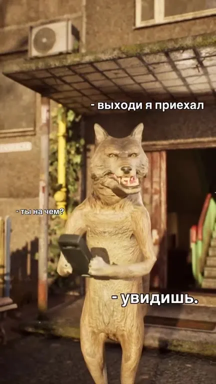 Волк приехал на тачке