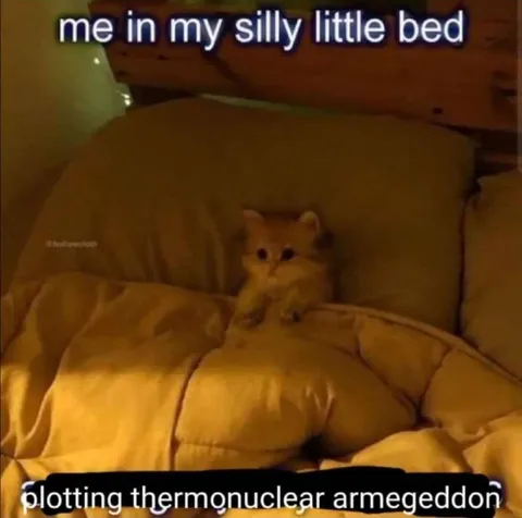 Kitten Plotting Armageddon