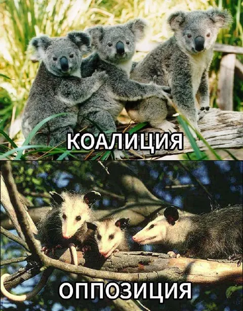 Коалиция против оппозиции