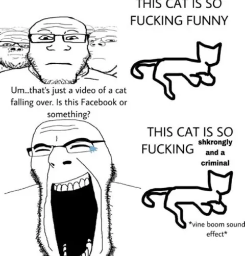 This Cat Is So Fucking Funny