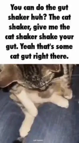 Cat Gut Shaker