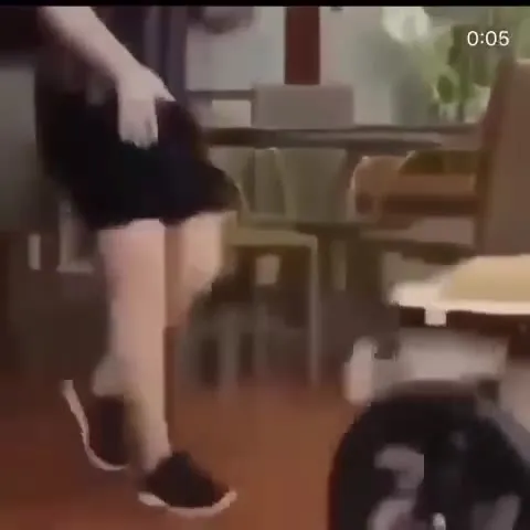 Собака и тележка летят в бассейн
