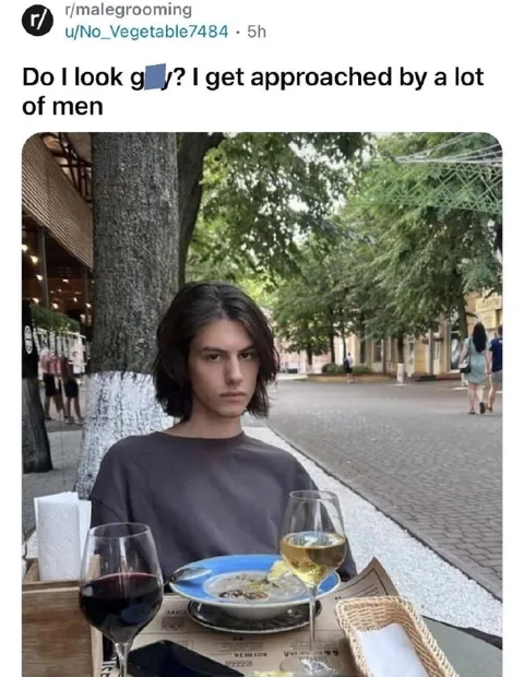 Do I Look Gay?