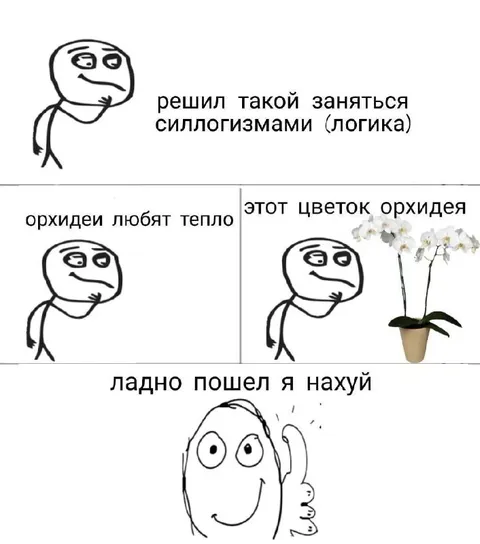 Силлогизм про орхидею