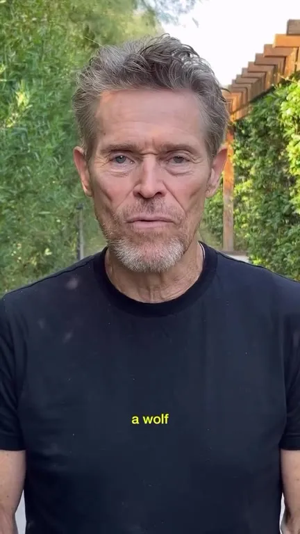 A Wolf Will Not Go Into the Forest