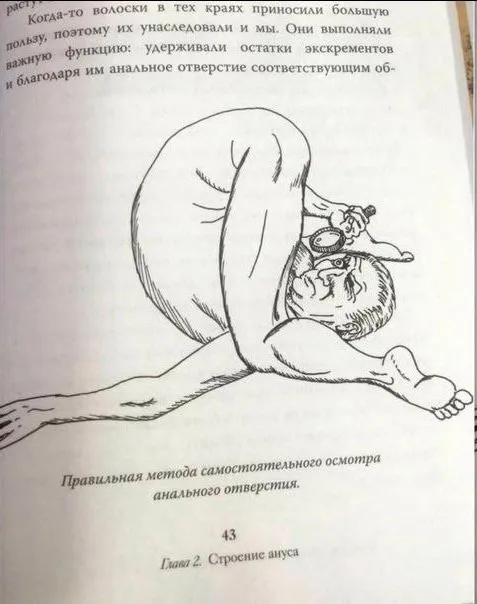 Правильная метода осмотра ануса