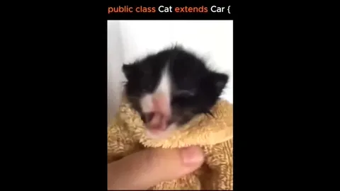 Cat Extends Car