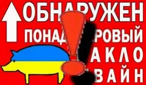 Обнаружен понадусёровый какло швайн