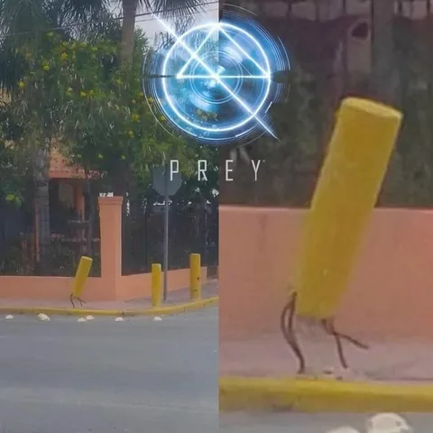 Prey Bollard Mimic