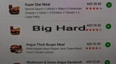 Big Hard Burger