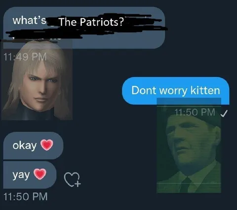Dont worry kitten The Patriots