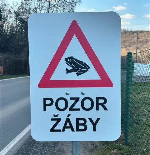 Pozor žáby na silnici