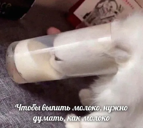 Думать как молоко
