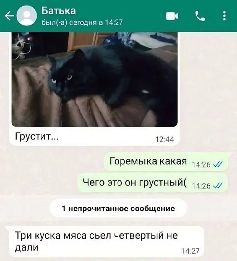 Кот грустит без четвертого куска