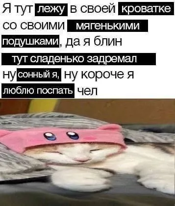 Сонный кот в кроватке