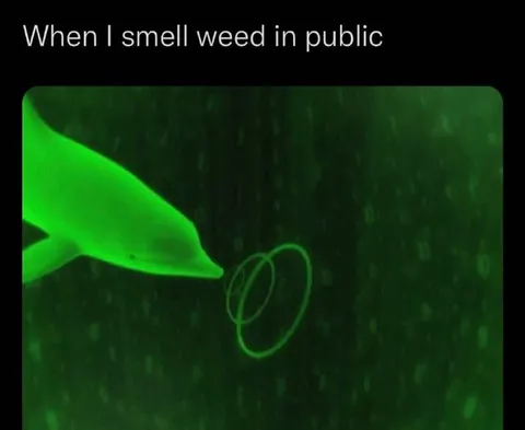 When I Smell Weed in Public