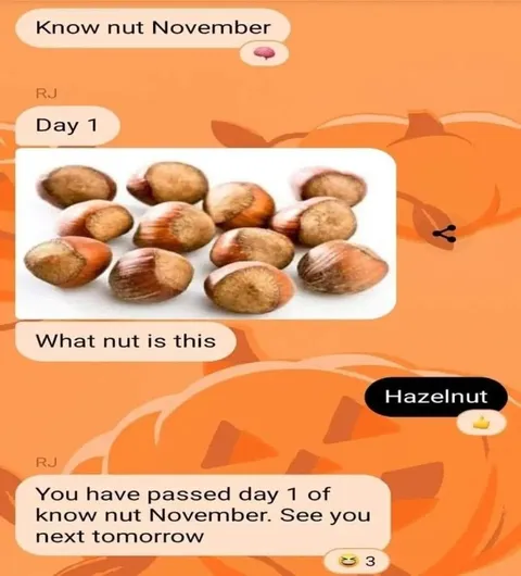 Know Nut November Day One