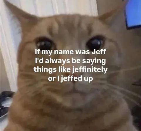 Jeffinitely Crying Cat