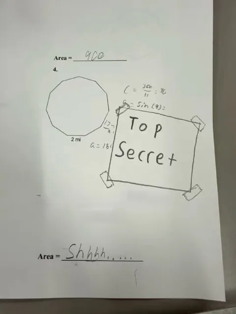 Top Secret Area Calculation