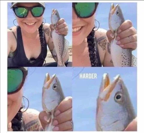 Harder Fish Zoom Meme