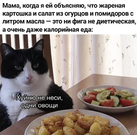 Кот отвергает овощи