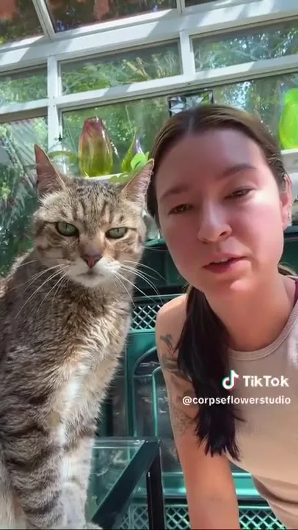 Кот захватывает камеру