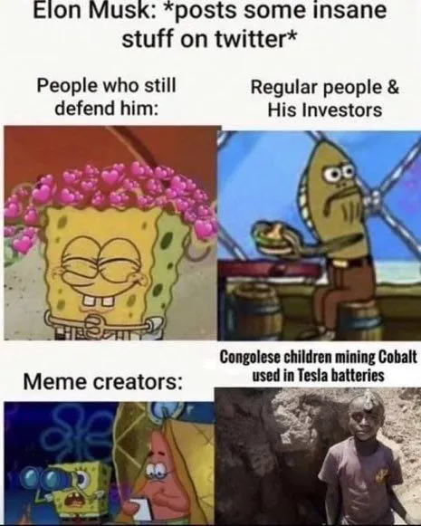Elon Musk Defense Panels