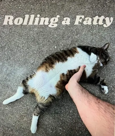 Rolling a Fatty