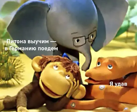 Питона выучим и в Германию