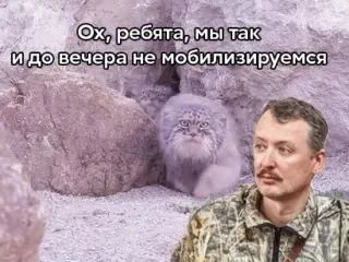 Так и не мобилизуемся