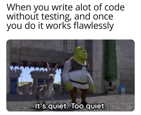 Code Works Without Testing