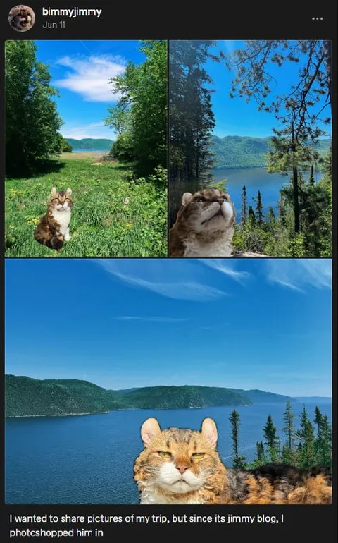 Jimmy Photoshopped Into Every Trip Photo