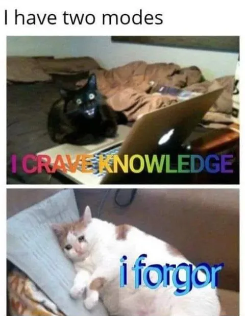 I Have Two Cat Modes