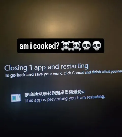 Am I Cooked Restarting Computer