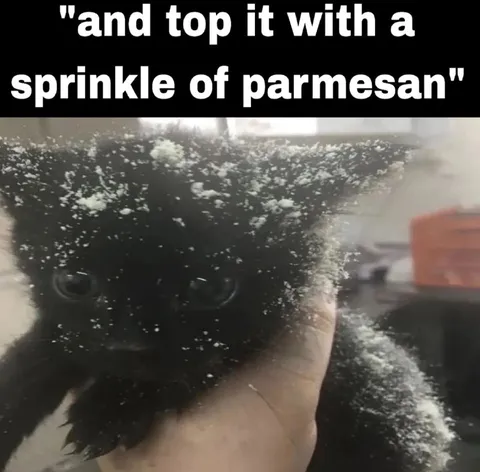 Cat Covered in Parmesan