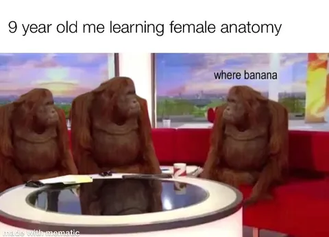 9 Year Old Learning Female Anatomy