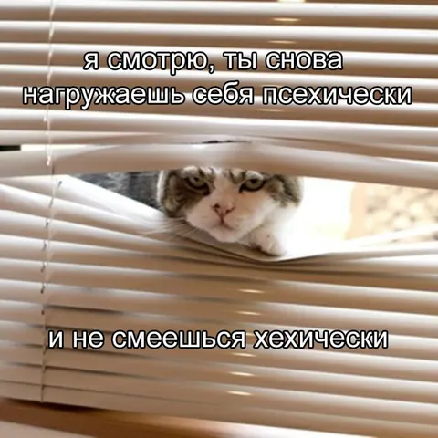 Кот следит за психикой