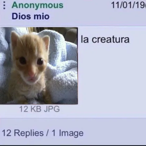 Dios mío, la criatura