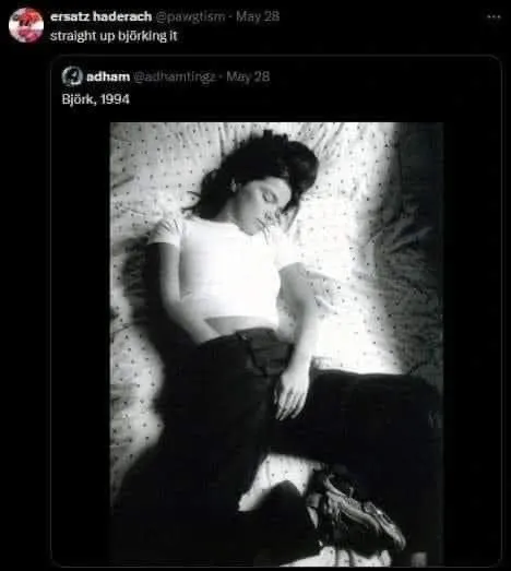Björk, 1994