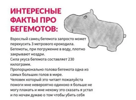 Факты про бегемотов с криком о помощи