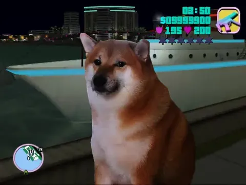 Сиба-ину под музыку в GTA
