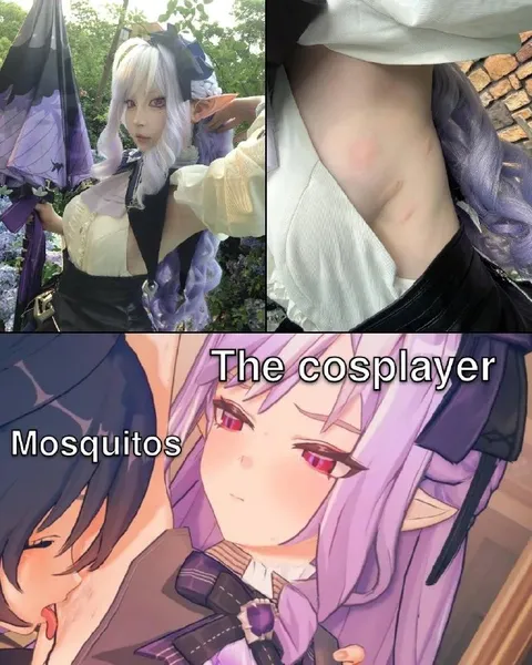 Mosquitoes Attack the Cosplayer