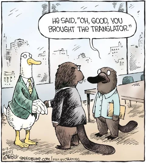 You Brought the Translator