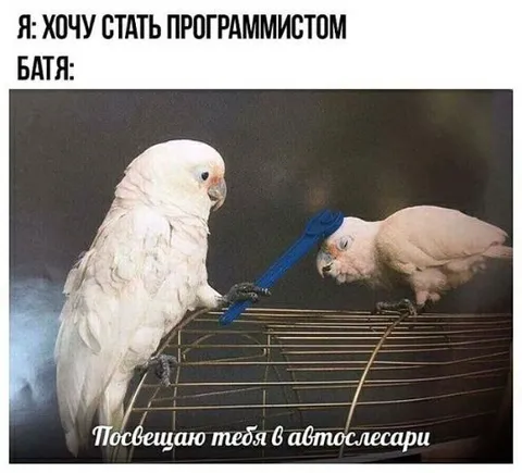 Папа посвящает в автослесари