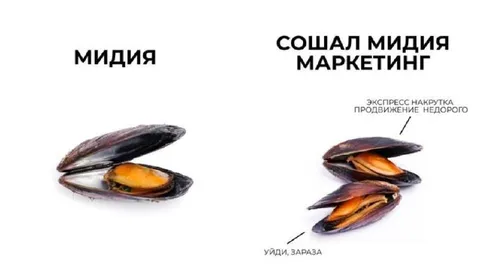 Мидия и сомнительный маркетинг
