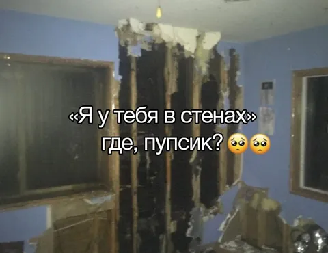 Пупсик в стенах