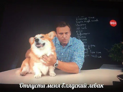 Отпусти меня блядский левак