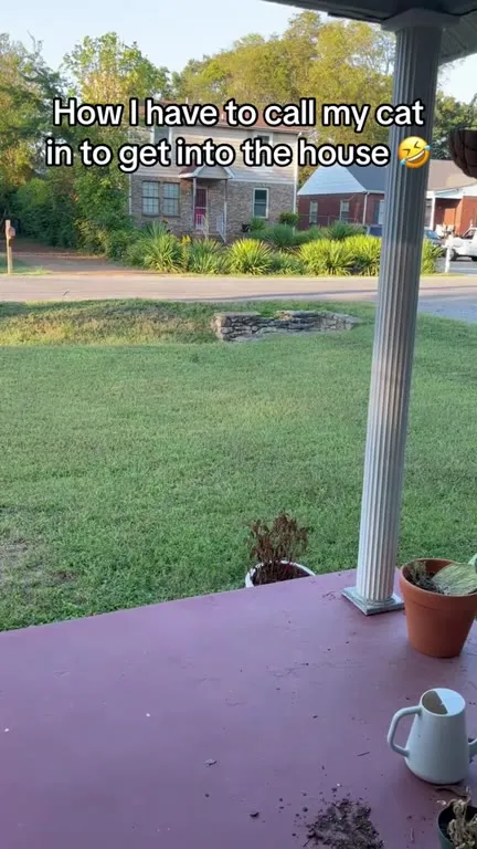 Calling the Cat Home